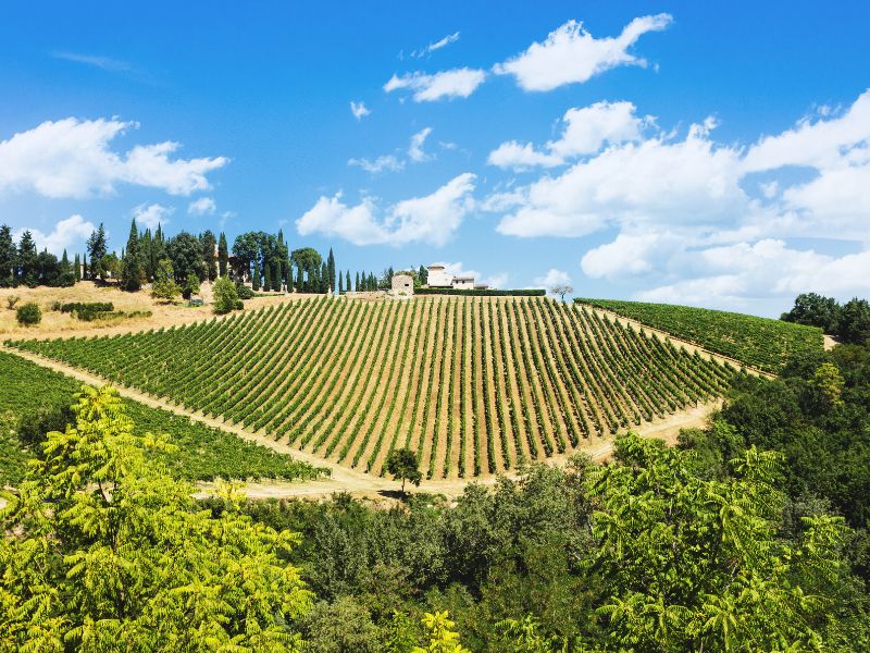 Greve in Chianti