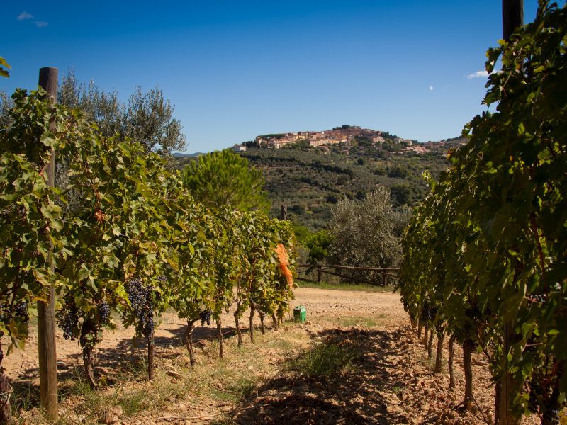 Castagneto Carducci